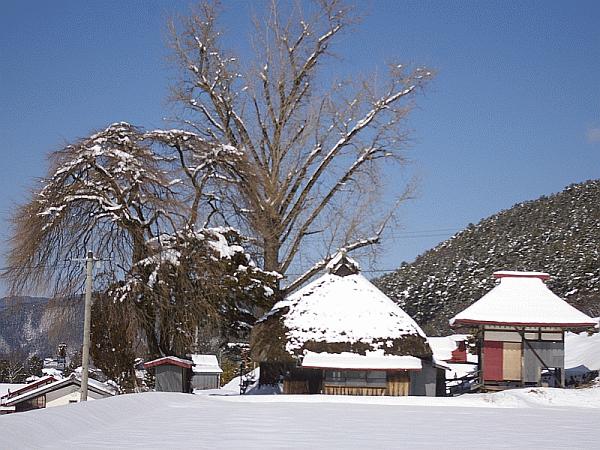 桑田薬師堂（2011年時点)