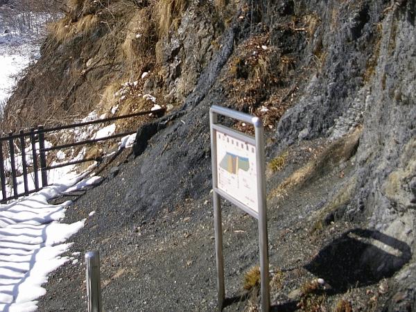 中央構造線溝口露頭